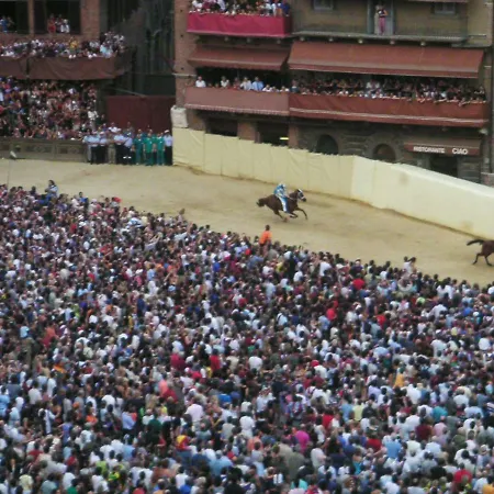 Real Taste Of Apartment